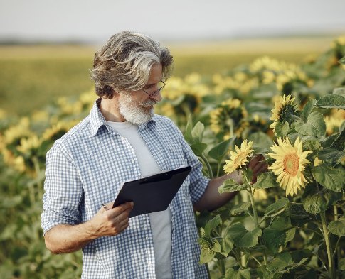 Farmer with a tablet in a sunflower field